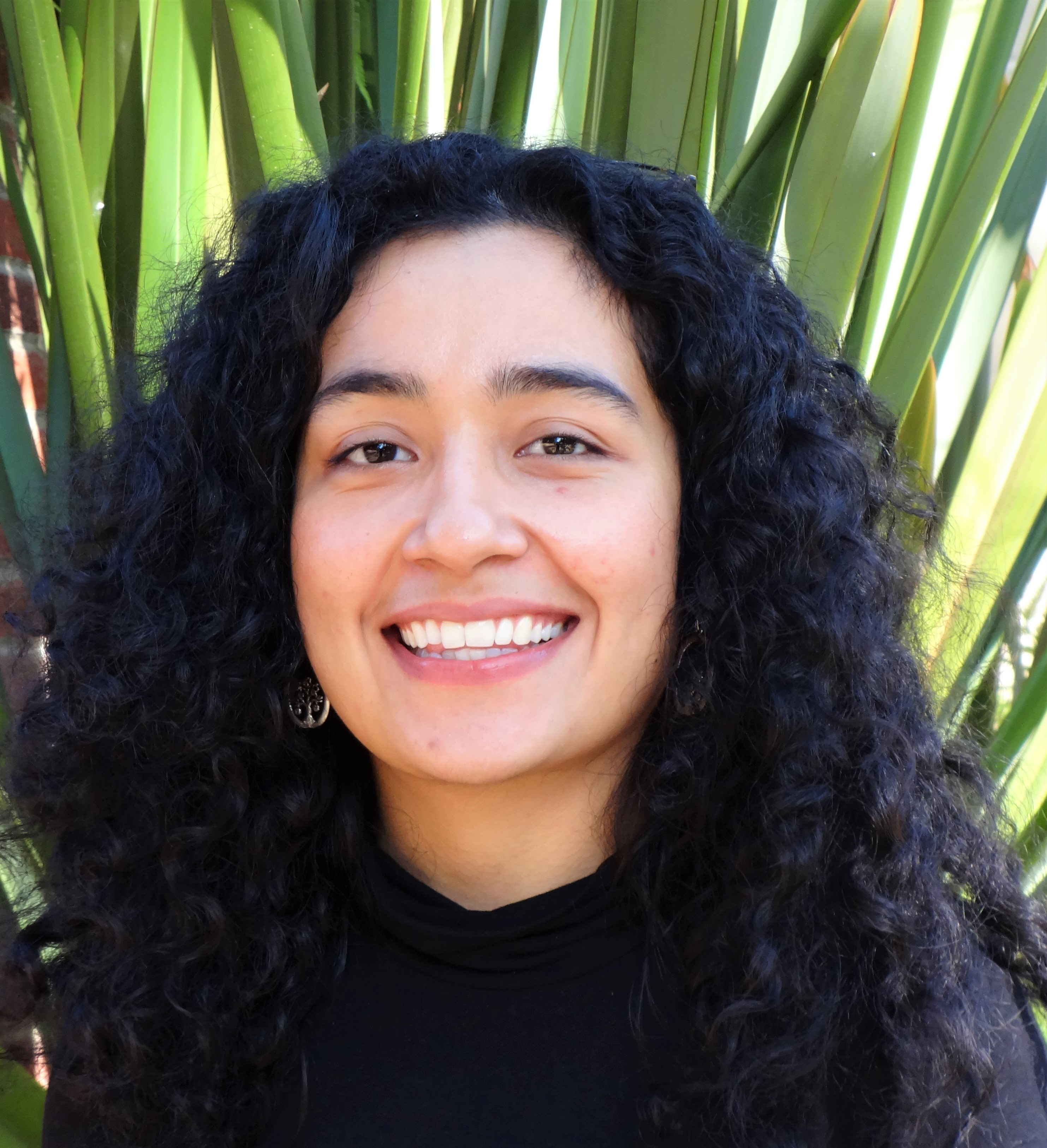 MEELISSA TAPIA-CORTEZ