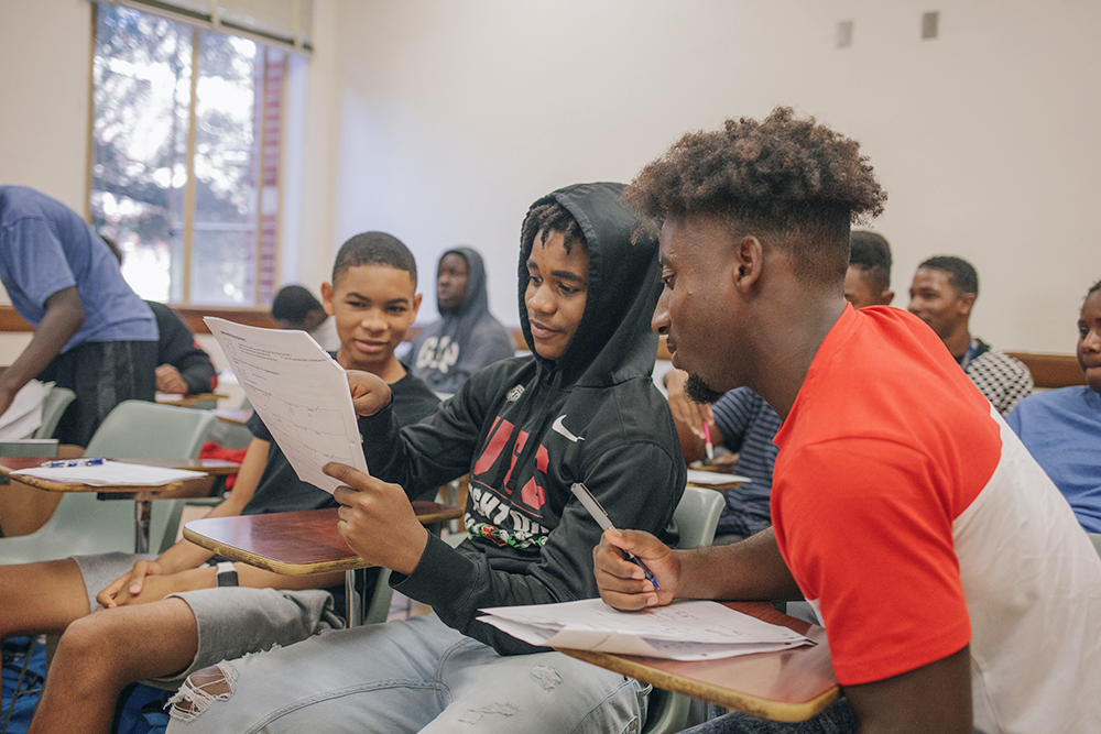 peer counseling and learning facilitators